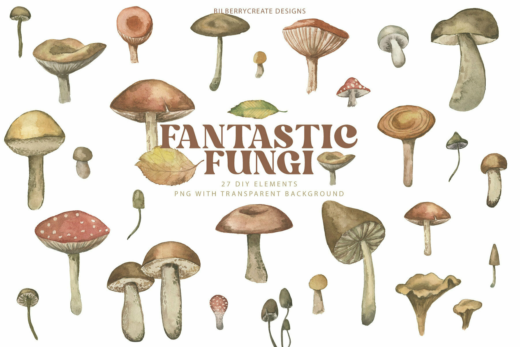 Watercolour Fantastic Fungi 3
