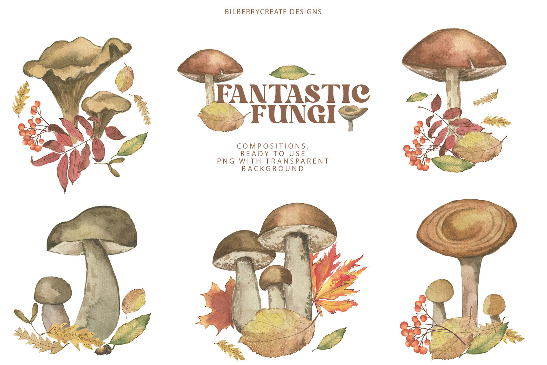 Watercolour Fantastic Fungi 7