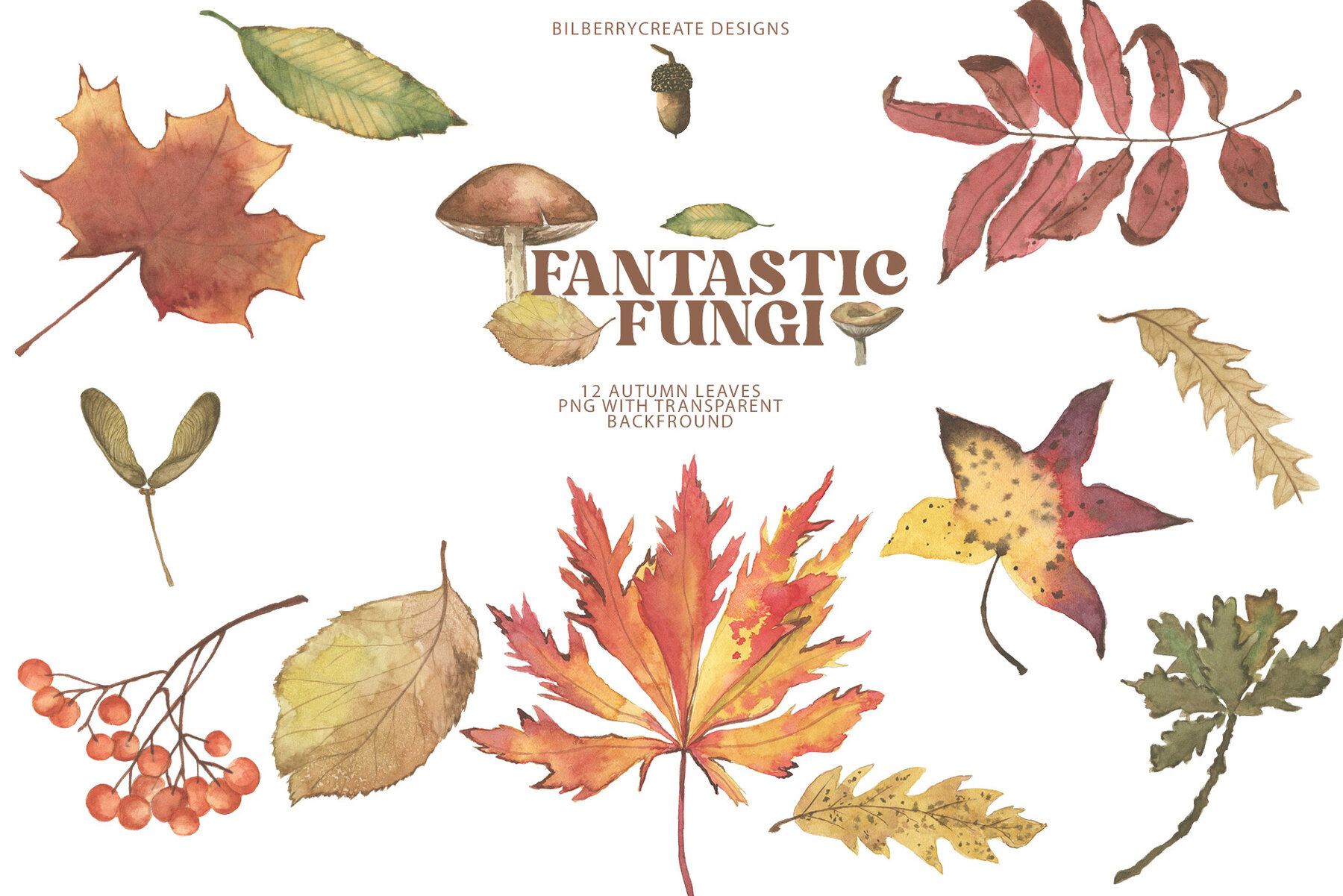 Watercolour Fantastic Fungi 8