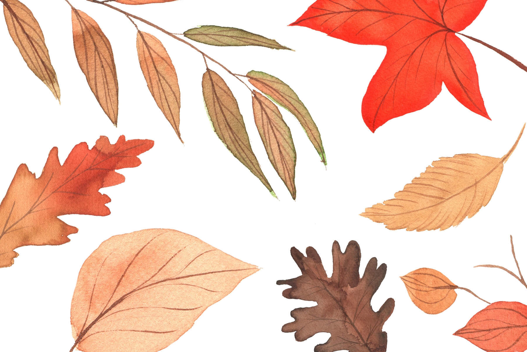 Autumn Orange Mood 9