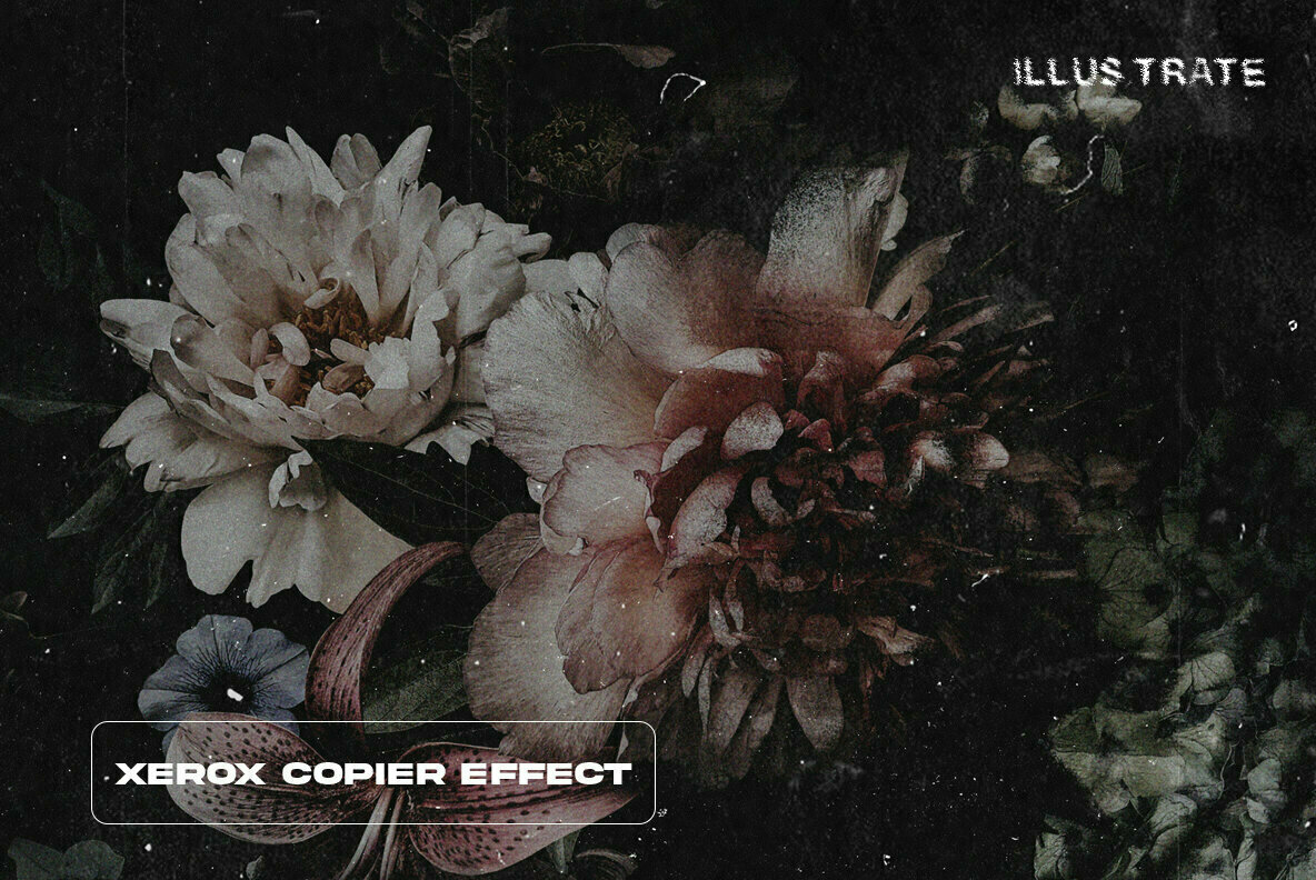 Xerox Distorted Copier Xerox Distorted Copier