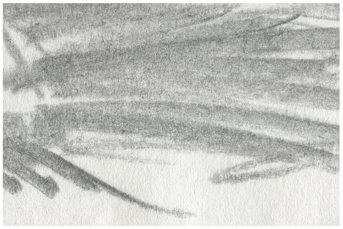 Contour   Edgy Vector Illustration 9