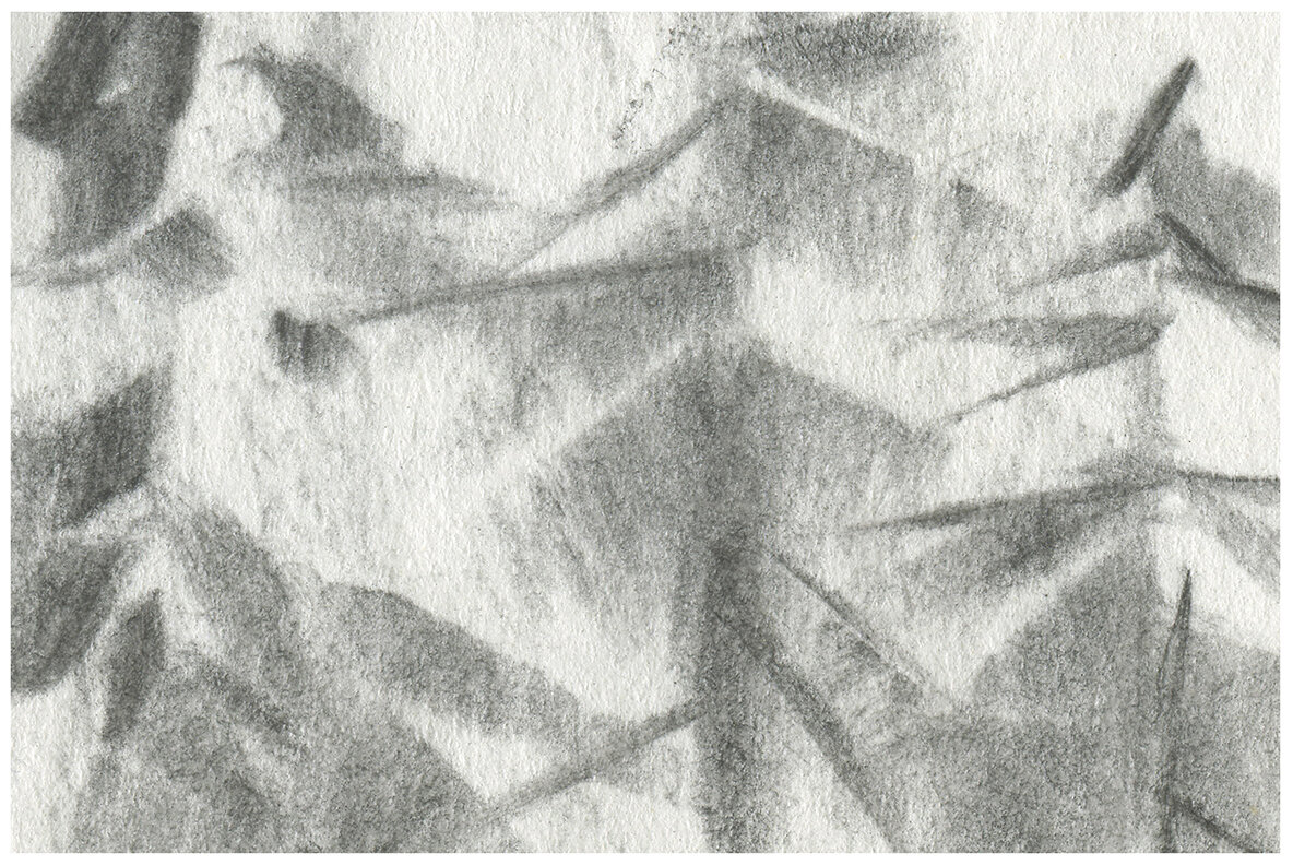 Contour   Edgy Vector Illustration 10