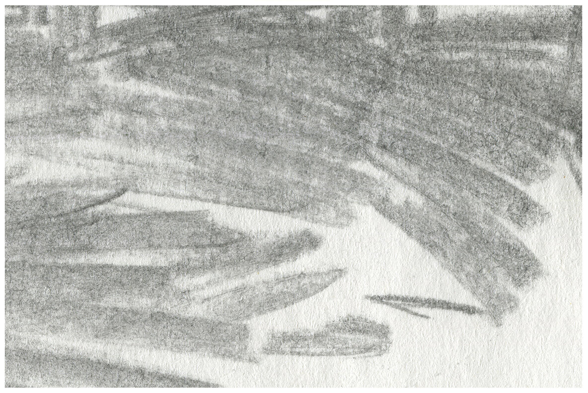 Contour   Edgy Vector Illustration 12