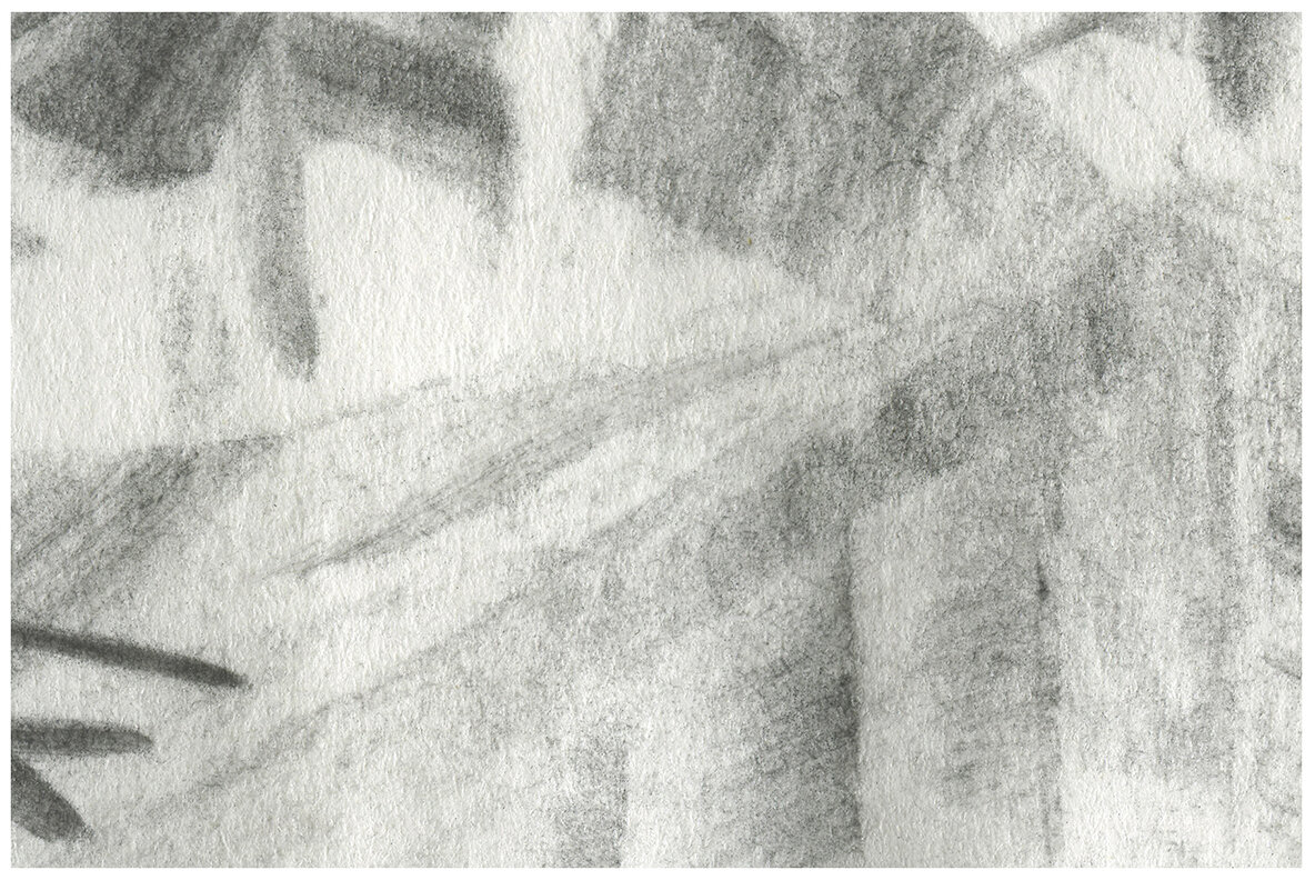 Contour   Edgy Vector Illustration 22