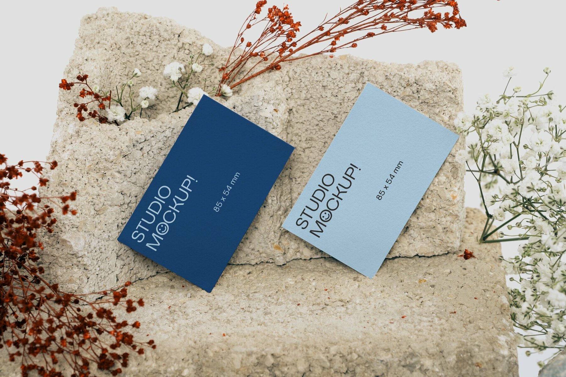 Business Card Mockup Business Card Mockup