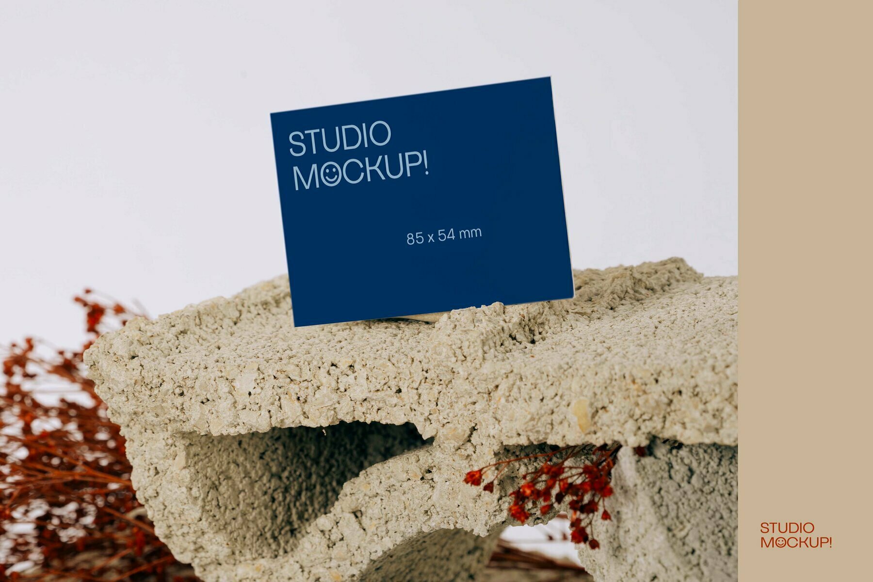 Business Card Mockup Brut Business Card Mockup Brut