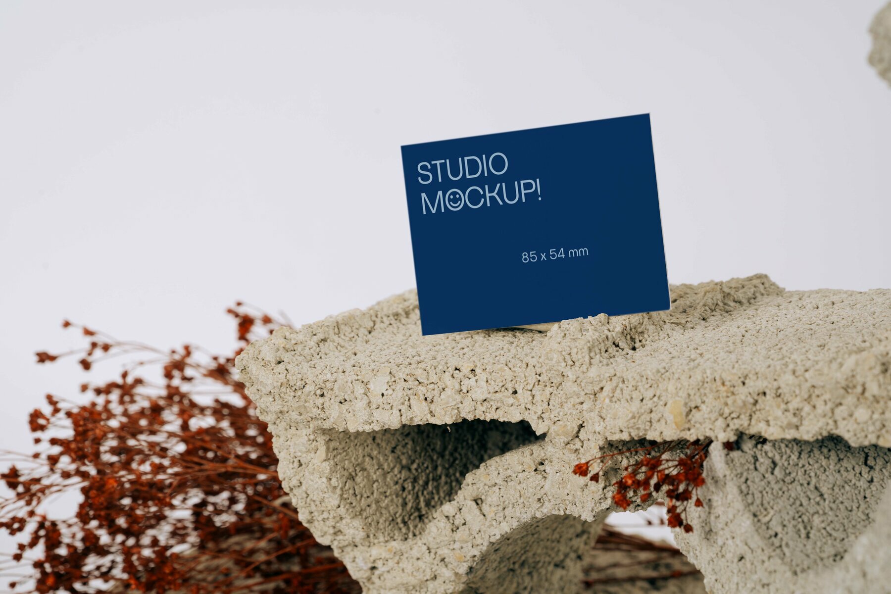 Business Card Mockup Brut Business Card Mockup Brut