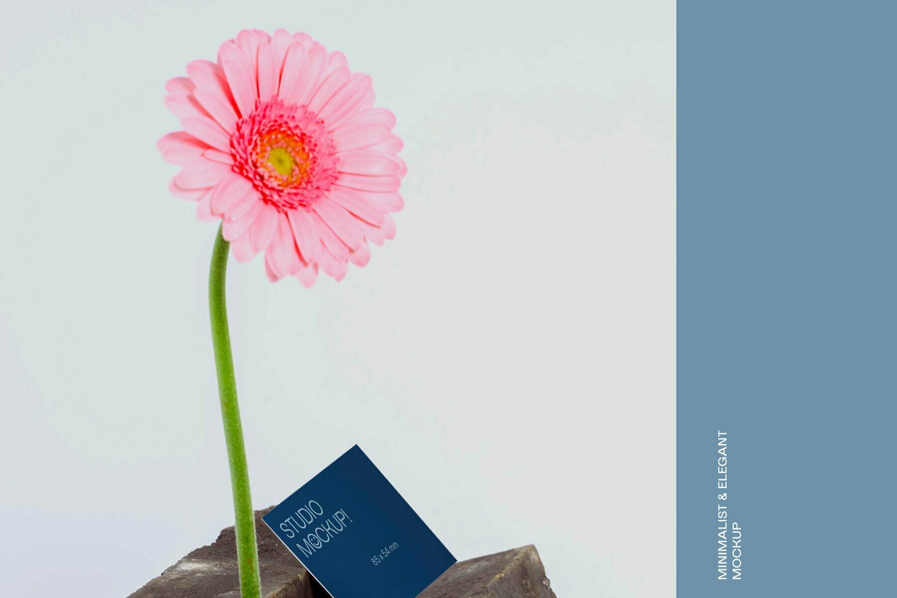 Flower Business Card Mockup Flower Business Card Mockup