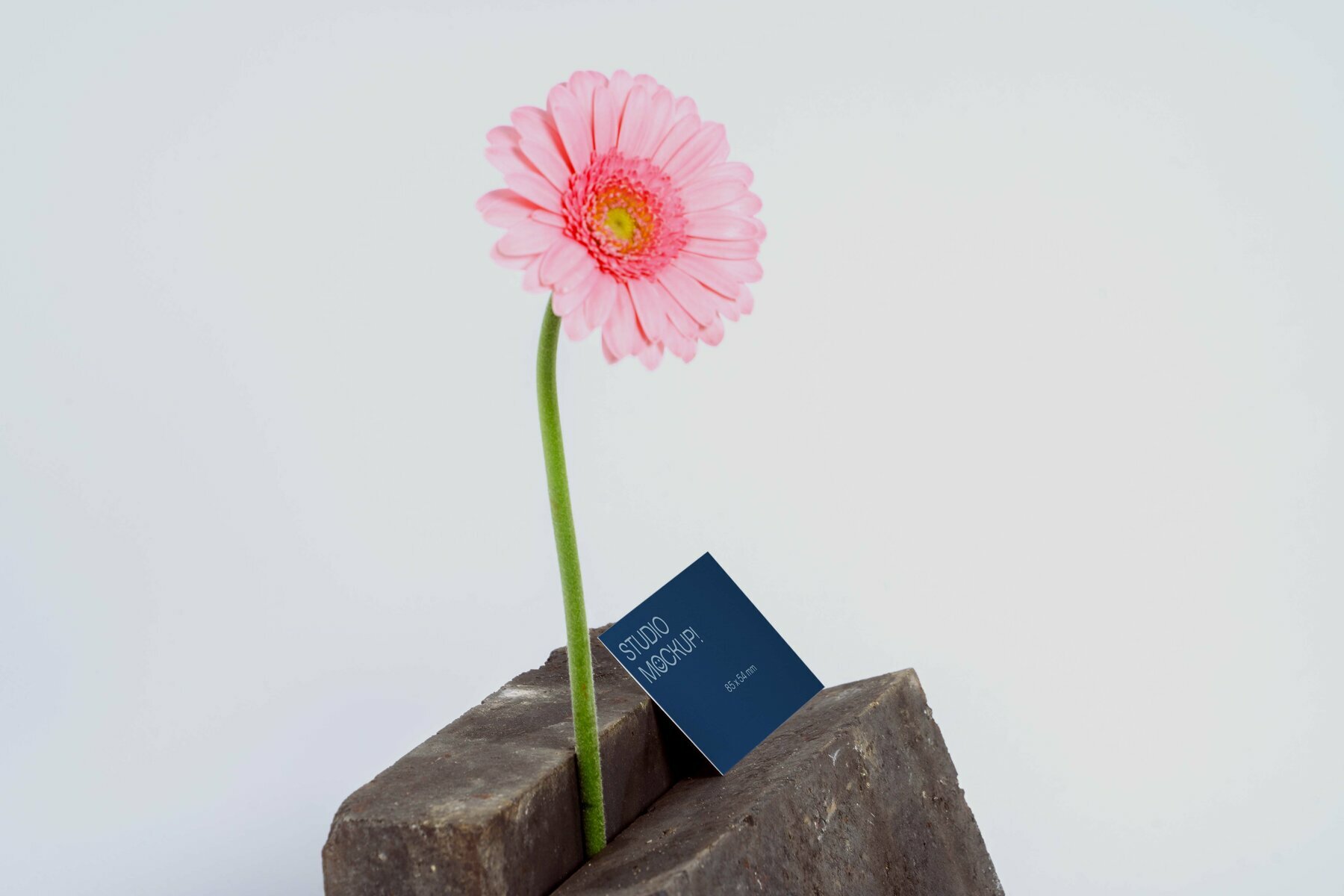Flower Business Card Mockup Flower Business Card Mockup