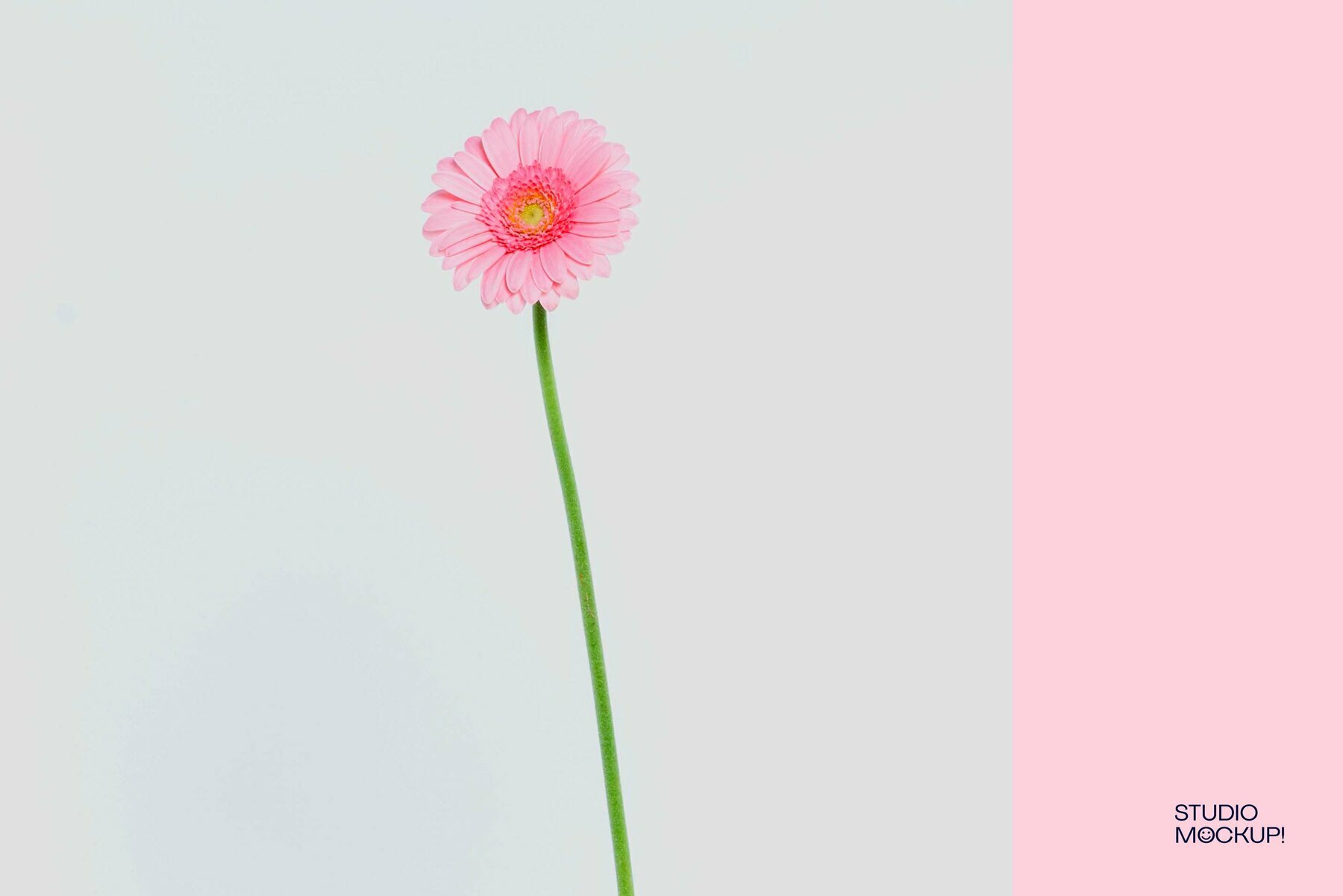 Flower Invitation Mockup 4