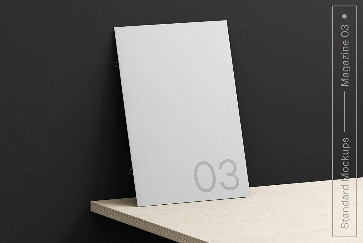 Magazine 03 Standard Mockup 1