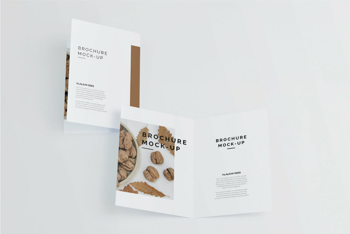 Bi fold A4 Brochure Mockup 4