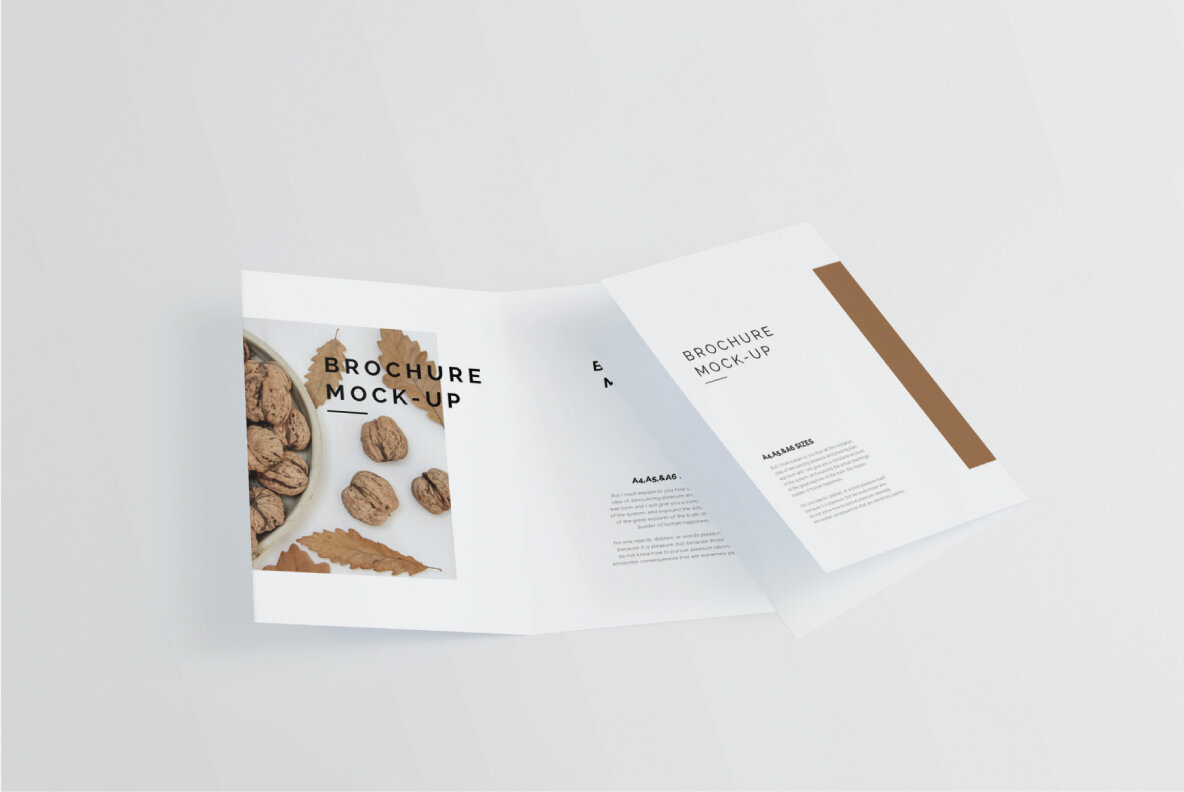 Bi fold A4 Brochure Mockup 6