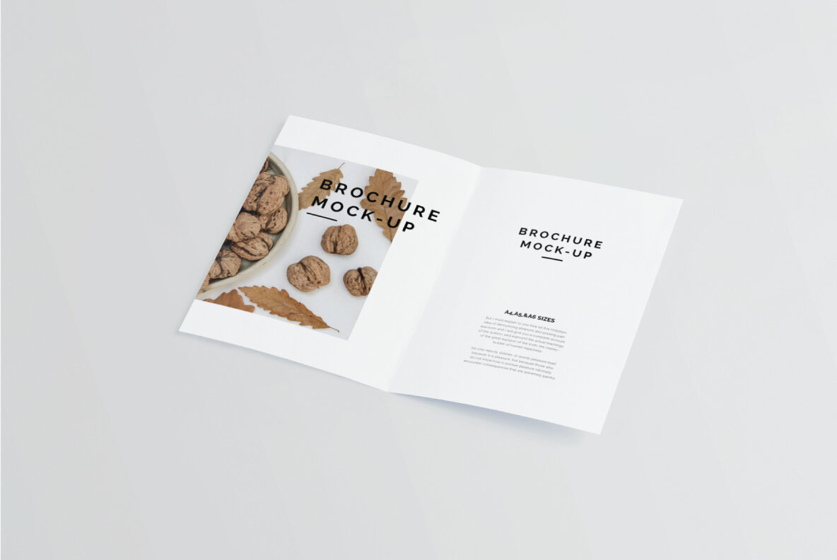 Bi fold A4 Brochure Mockup 8