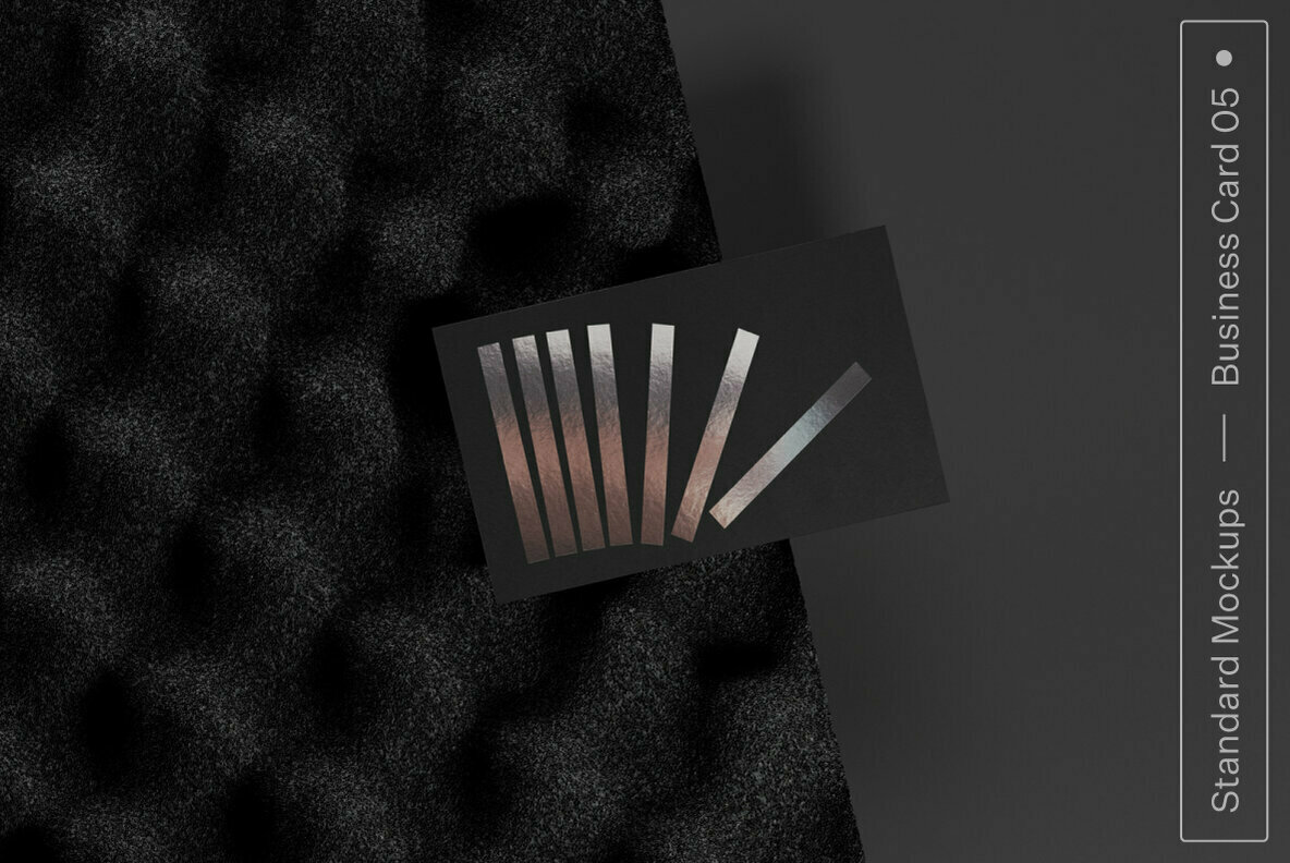 Business Card 05 Standard Mockup 1