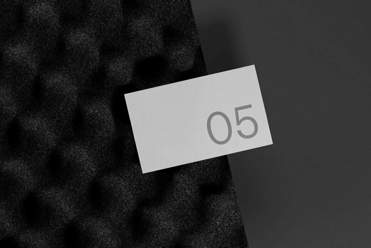 Business Card 05 Standard Mockup 2