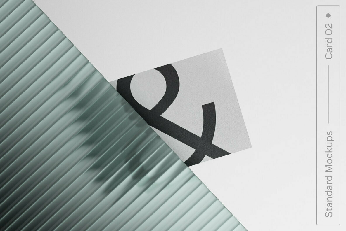 Card 02 Standard Mockup 1