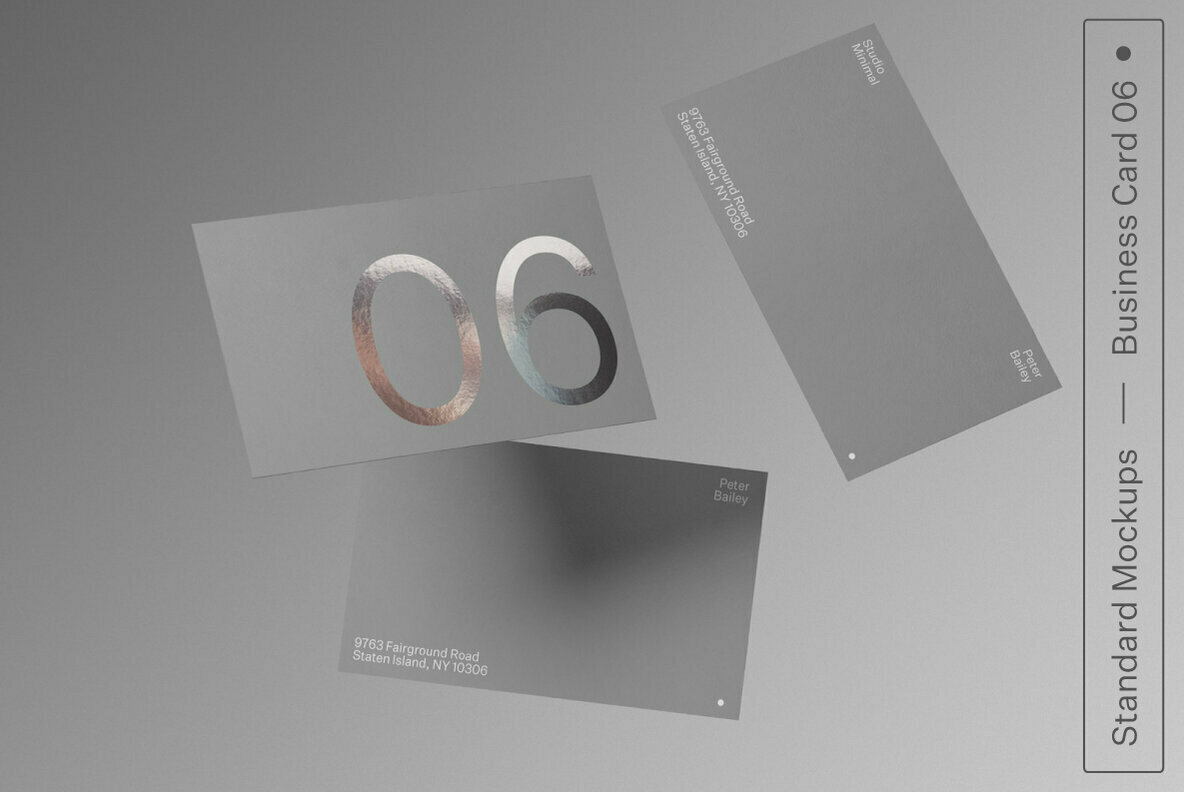 Business Card 06 Standard Mockup 1