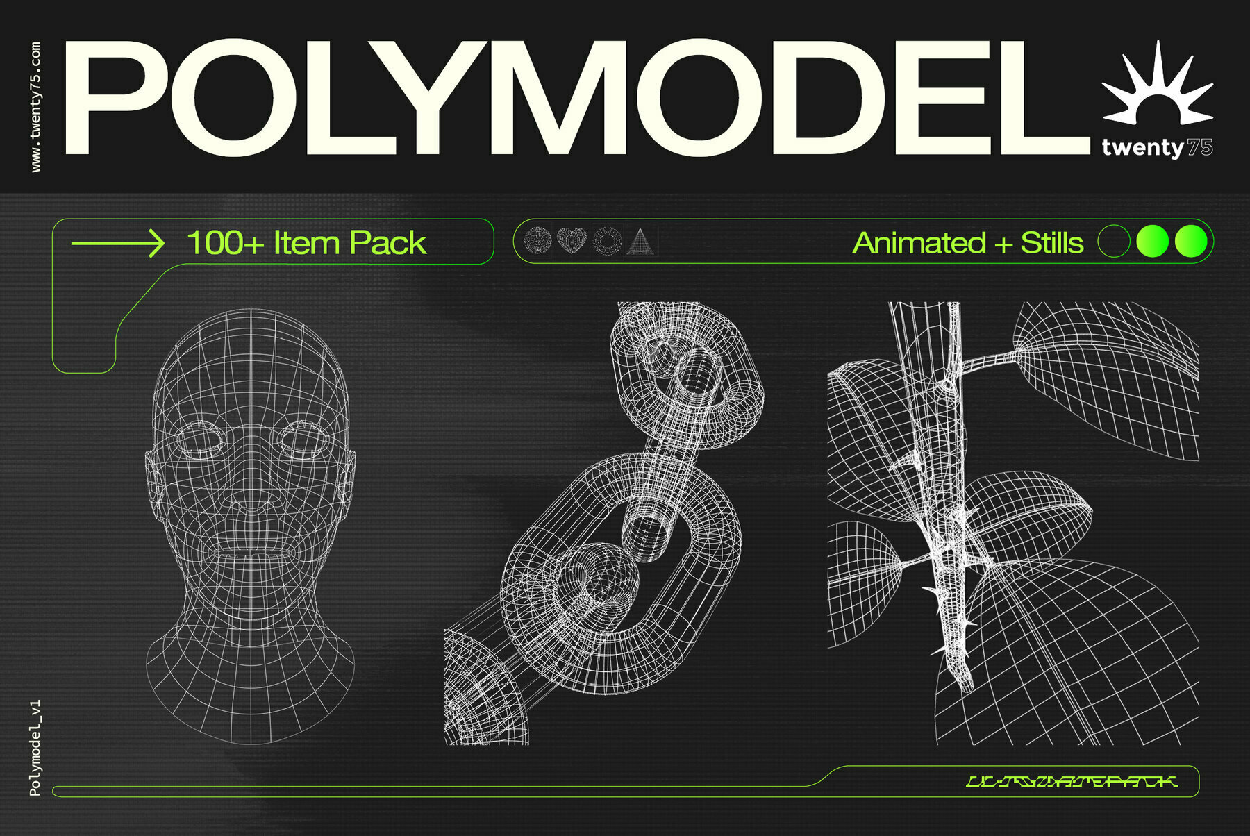 Polymodel 1