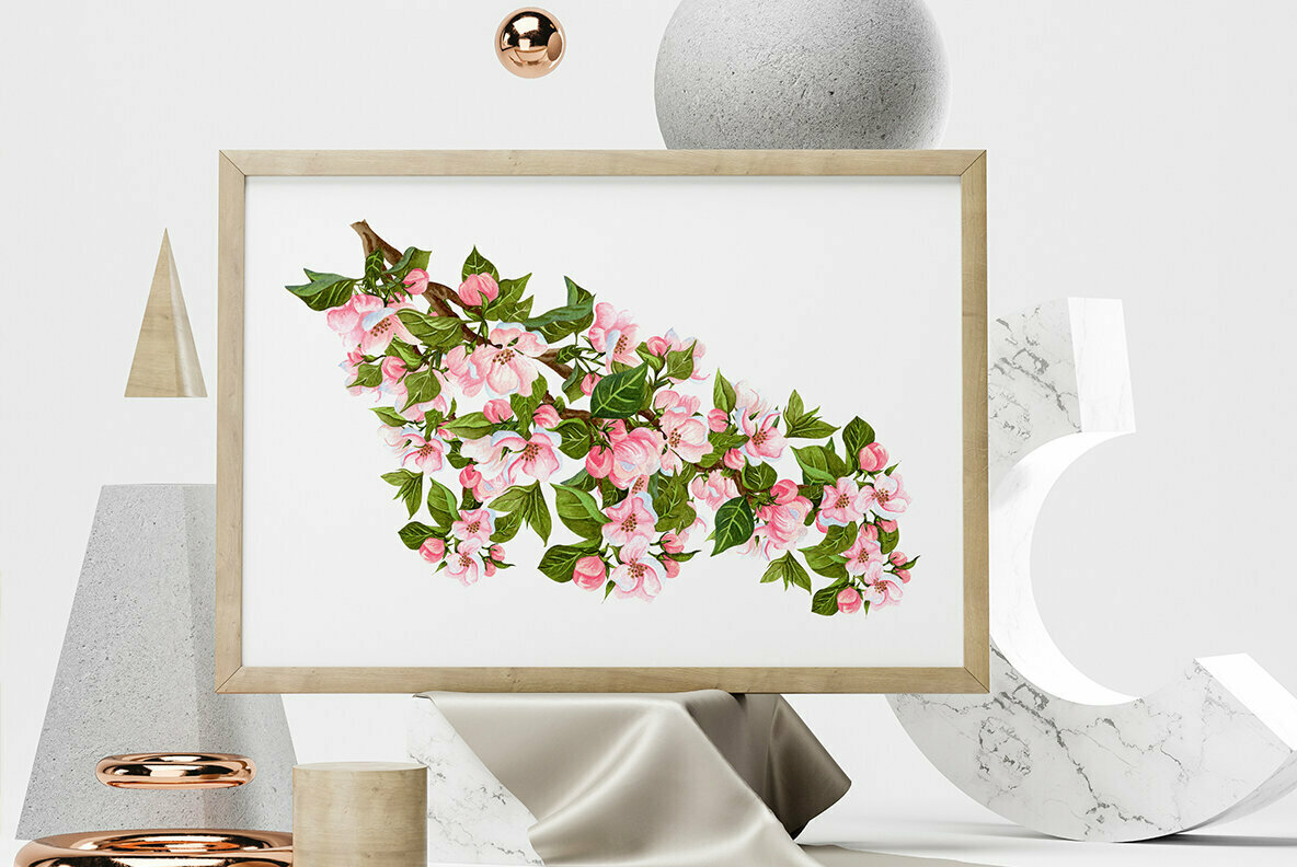 Apple Blossom Watercolor Collection  3