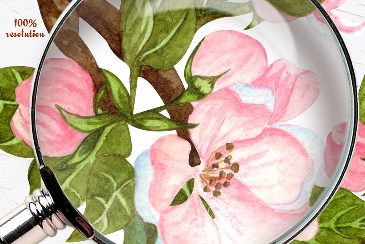Apple Blossom Watercolor Collection  14