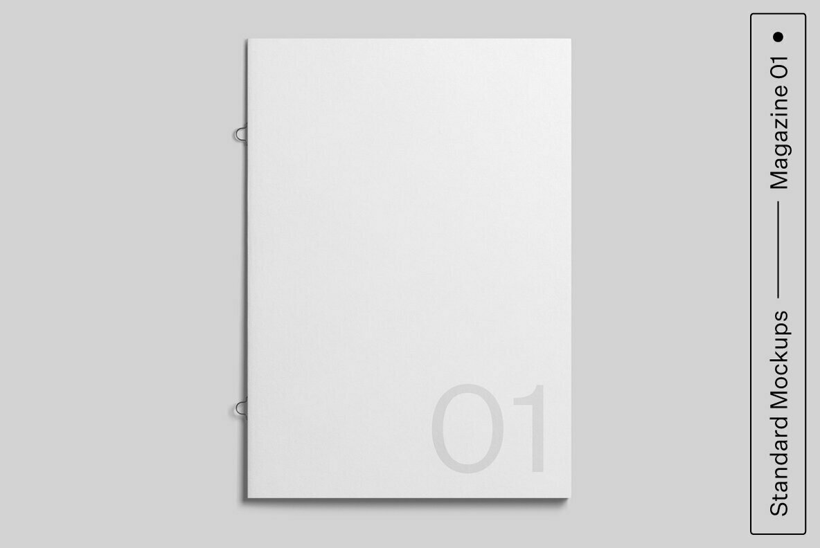 Magazine Standard Mockups Bundle 2