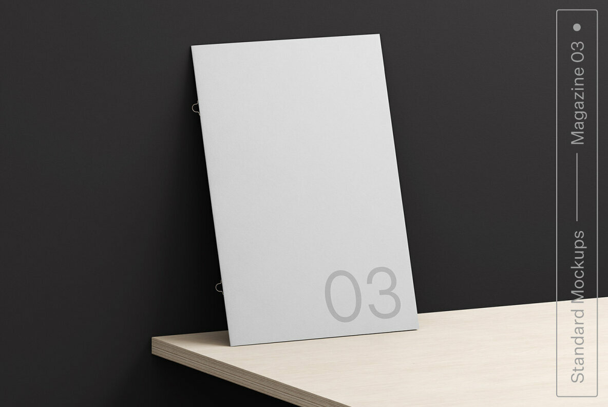 Magazine Standard Mockups Bundle 4