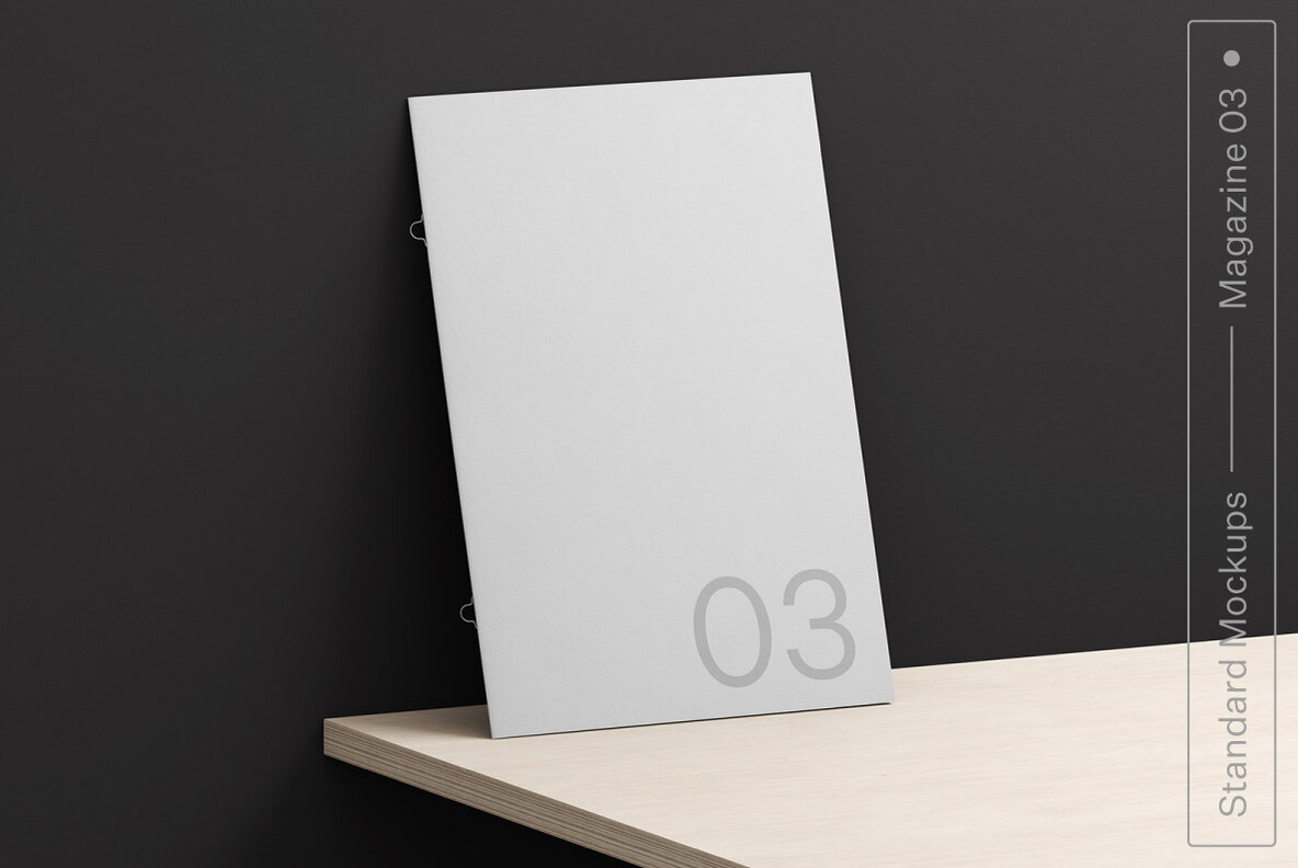 Branding Mockup Collection 13