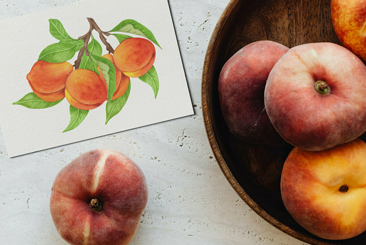 Peach Watercolor Set 2