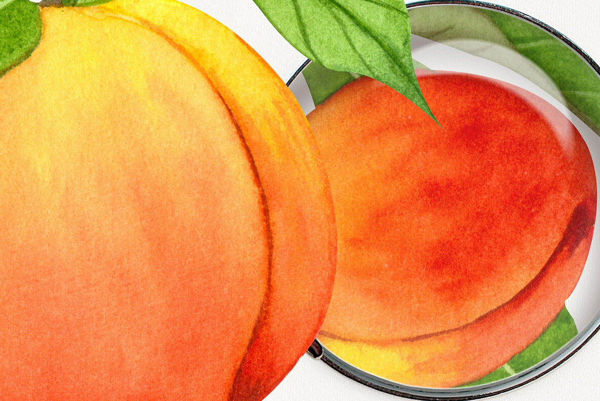 Peach Watercolor Set 17