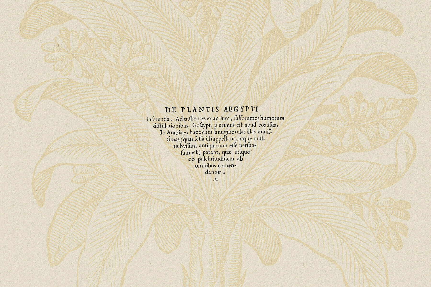 Botanical Illustrations Vol 3 3