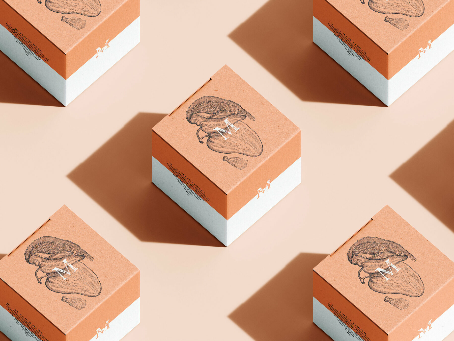 Botanical Illustrations Vol 3 5