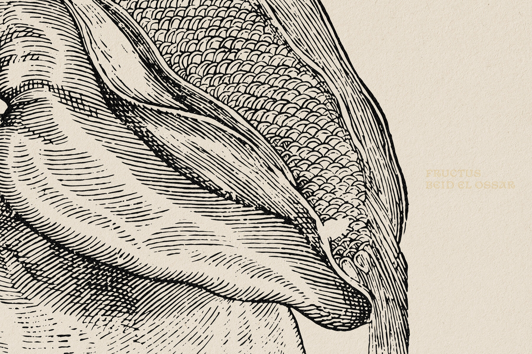 Botanical Illustrations Vol 3 8