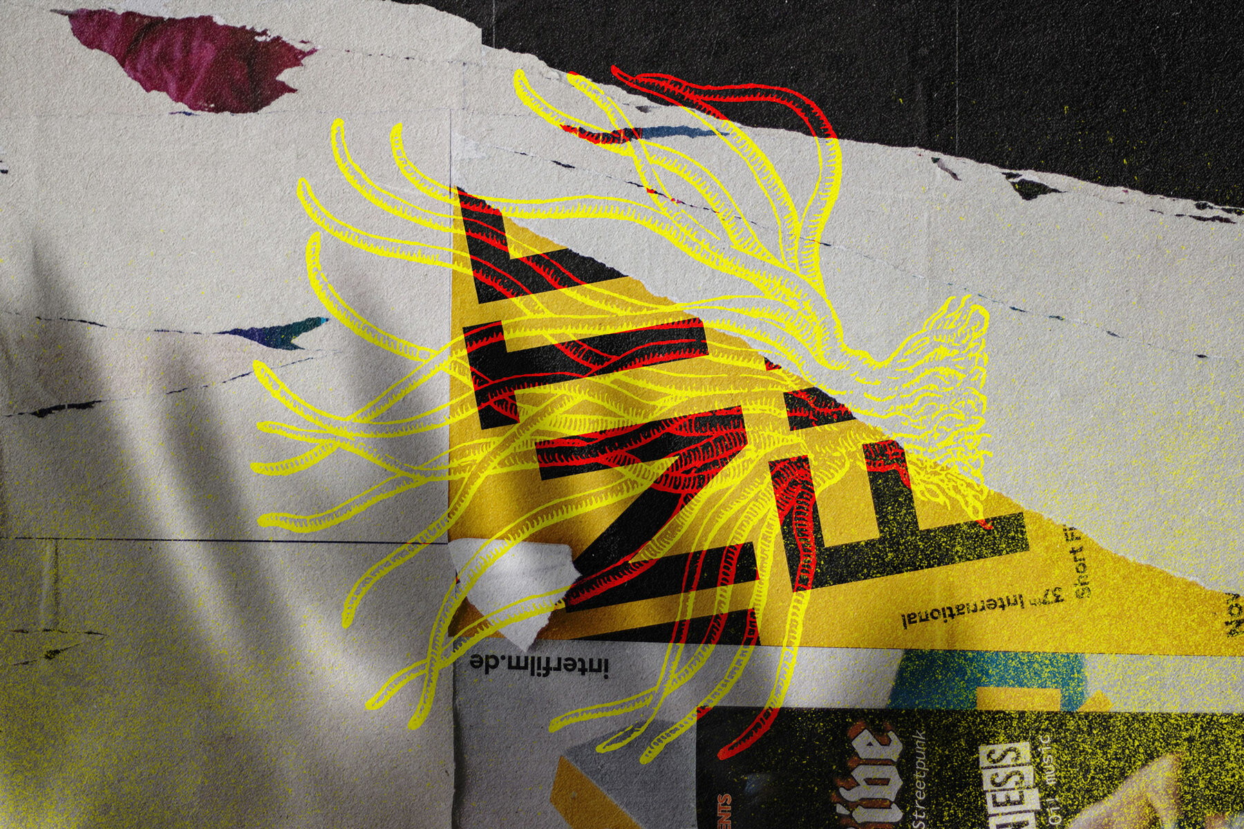 Botanical Illustrations Vol 3 24