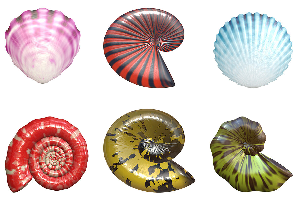 Summertime Collection 10