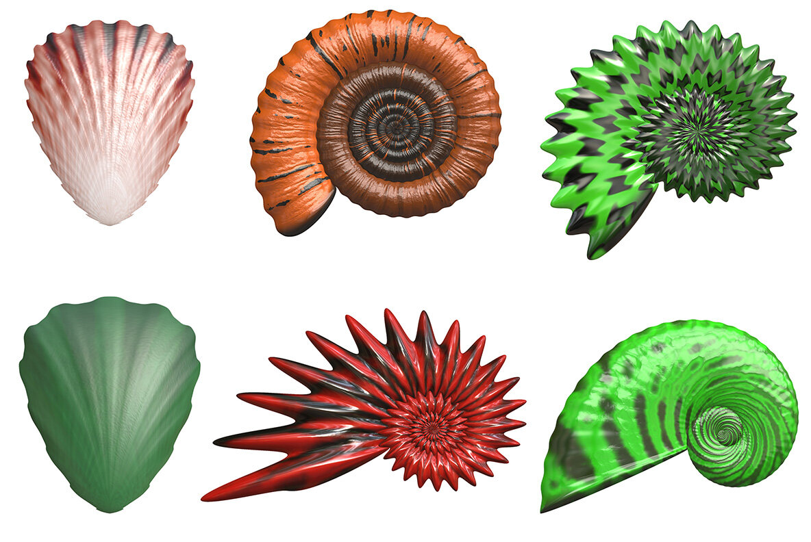 Summertime Collection 11