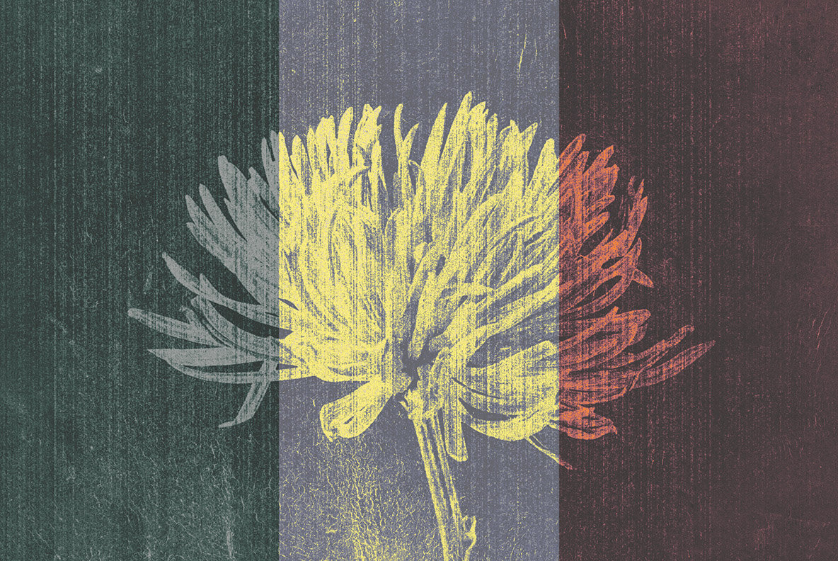 Vintage Album Photo Effects 13