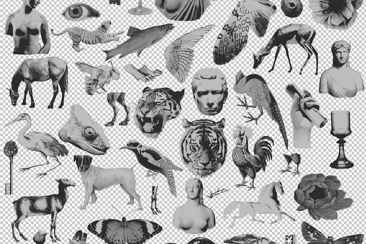 MONSTERVERSE Collage Set 5