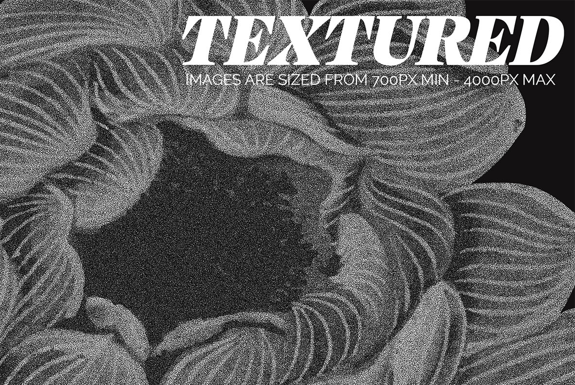 MONSTERVERSE Collage Set 6