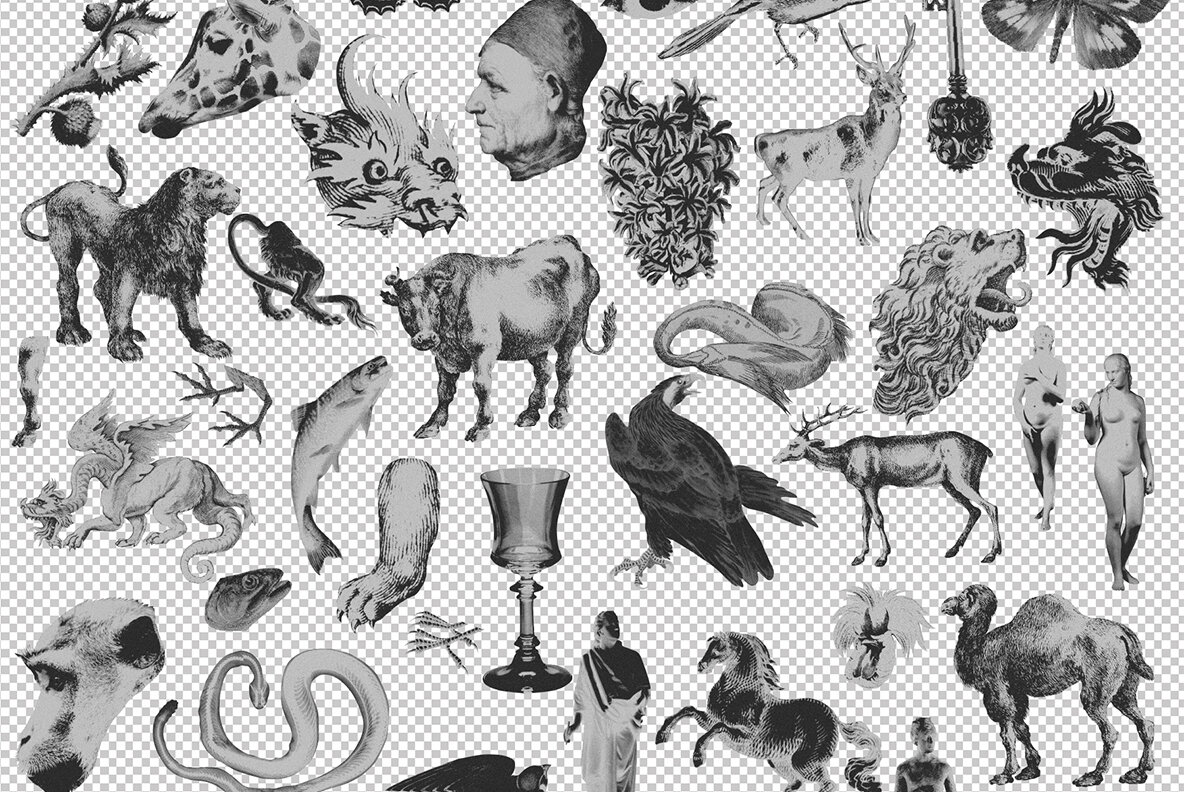 MONSTERVERSE Collage Set 7