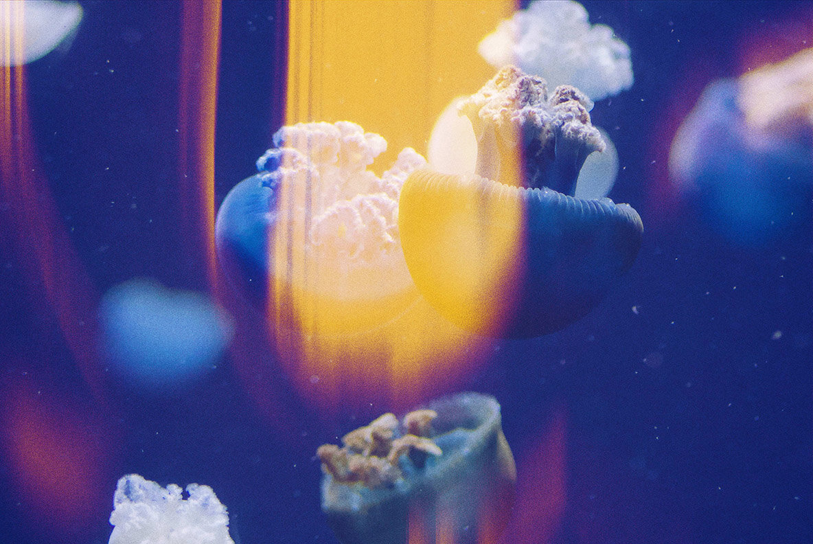 Aura Leaks Photo Effect 7