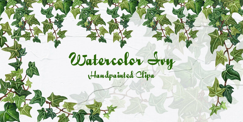 Ivy Watercolor Collection