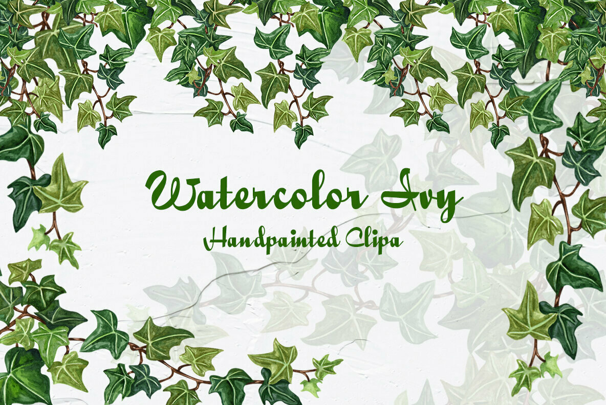Ivy Watercolor Collection 1