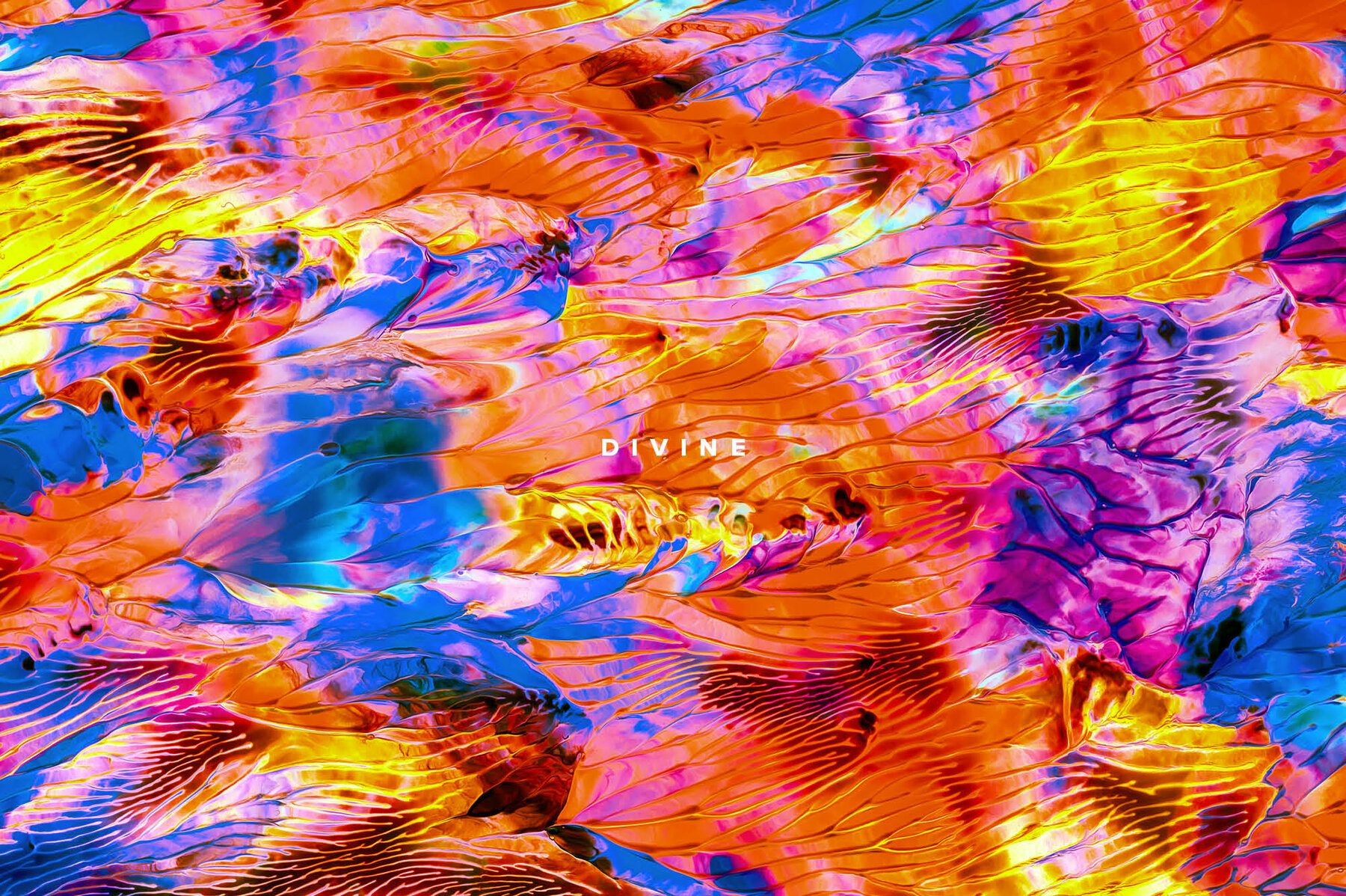 Divine     Vibrant Paint Textures 9