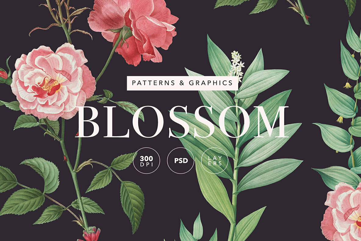 Blossom   Elegant Floral Pattern and Graphics 1