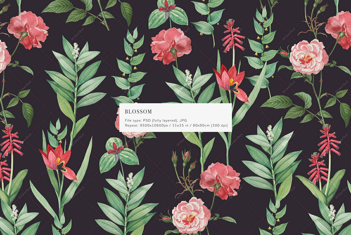 Blossom   Elegant Floral Pattern and Graphics 2