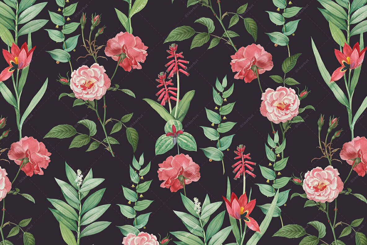 Blossom   Elegant Floral Pattern and Graphics 3