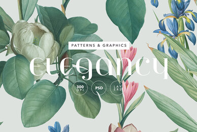 Elegancy   Floral Pattern and Elements