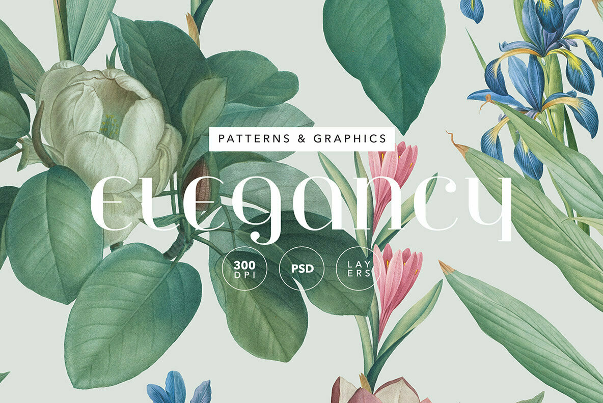 Elegancy   Floral Pattern and Elements 1
